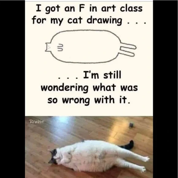 Funny Cat Photos! - Picture 5 of 15